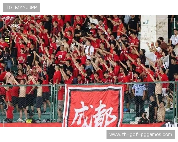 队徽背面的阴影:极端球迷组织地下网络探秘